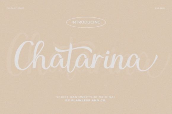 Chatarina Font: A Designer’s Campaign Review