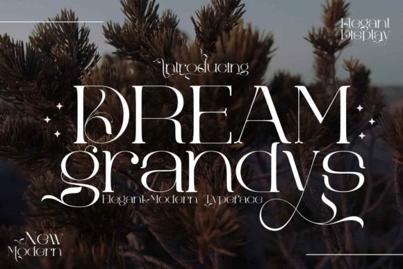 Dream Grandys: A Premium Serif Font for Elegant Campaigns