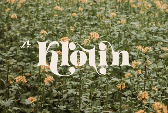 Klotin Serif Font Review for Branding
