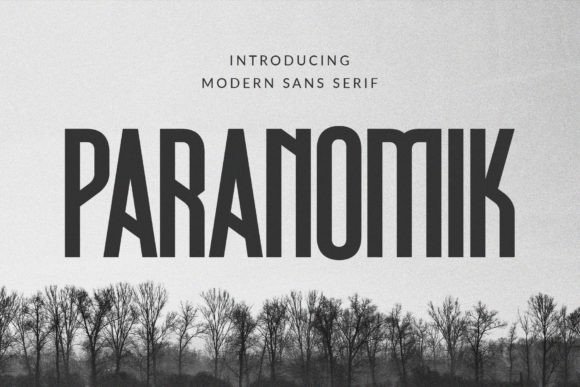 Paranomik Typeface Review for Modern Campaigns