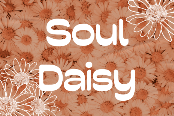 Soul Daisy Font Review: A Soft Display Typeface