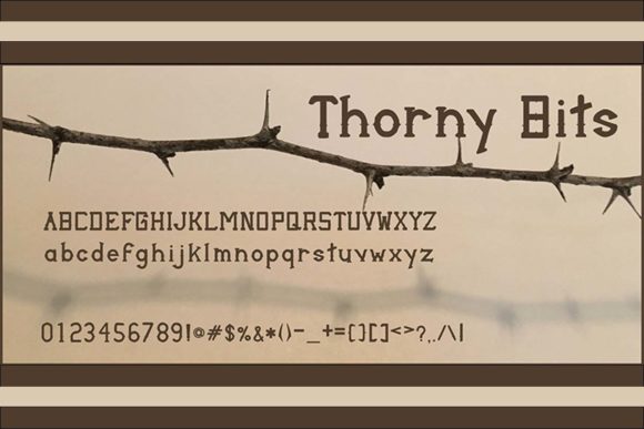Thorny Bits: A Serif Font for Editorial Edge